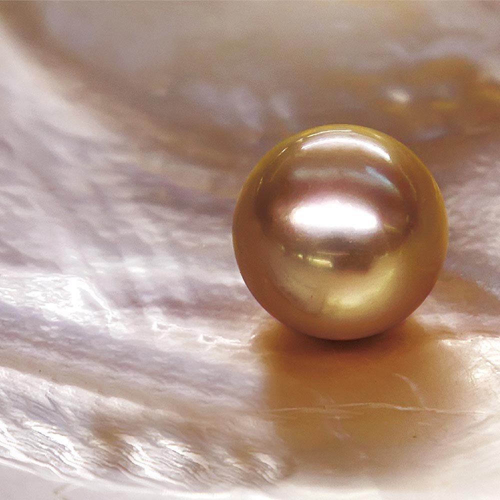 Luxury Brand Management