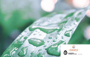 Banner Sustainability 02