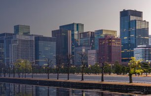 Real Estate Consulting