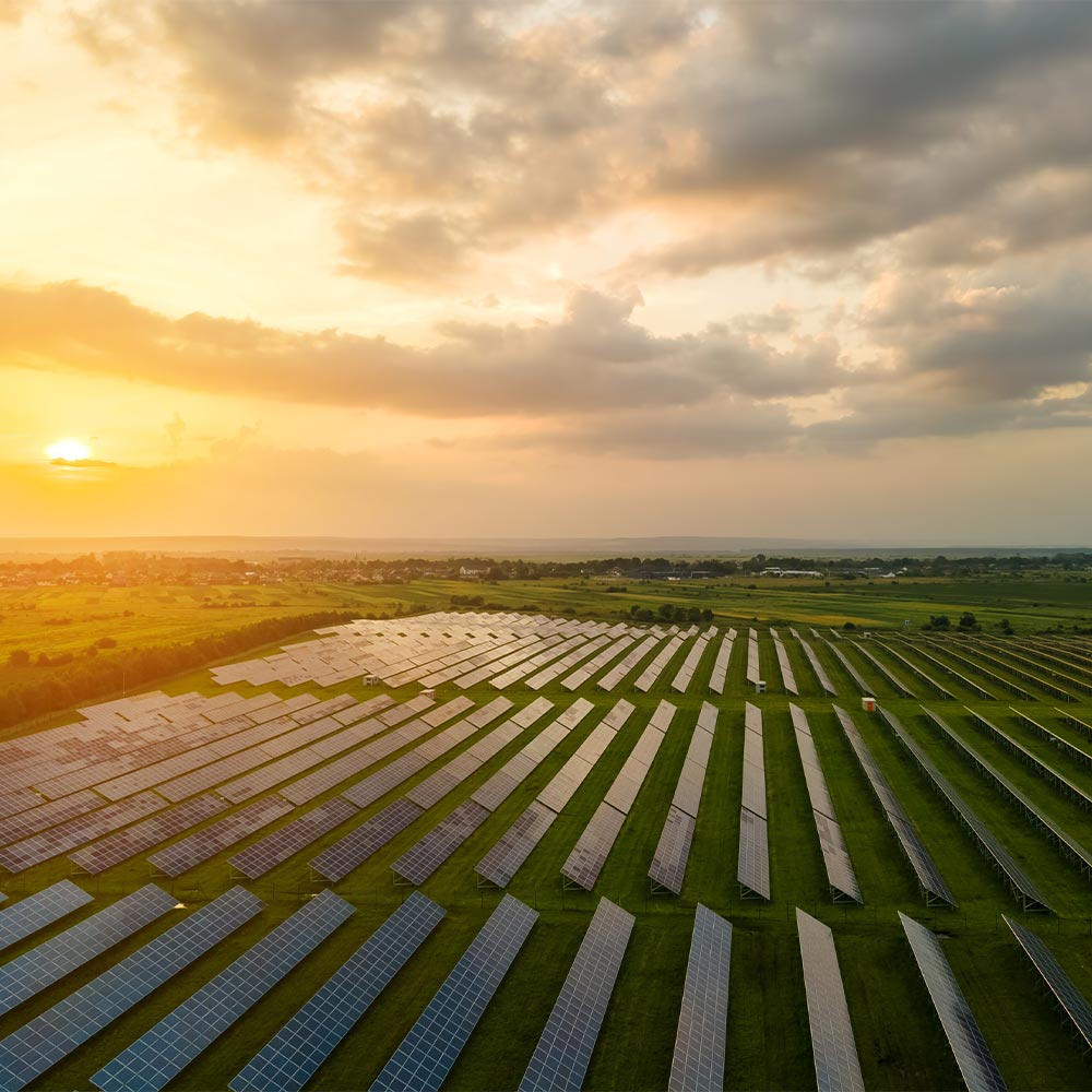 Gestão Da Sustentabilidade