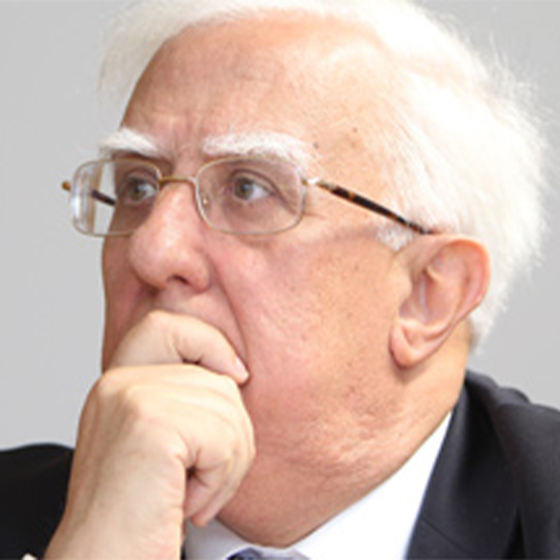 Manuel Freitas Pereira